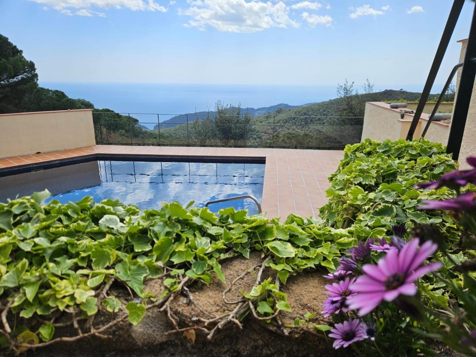 La Roqueta Hotel Tossa de Mar Eksteriør billede